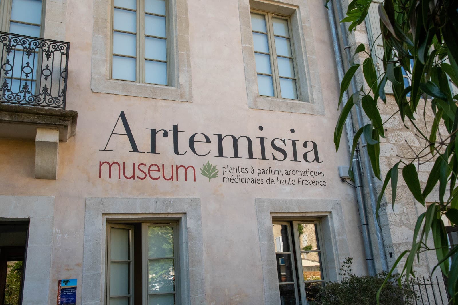 Artemisia Museum - Image 1