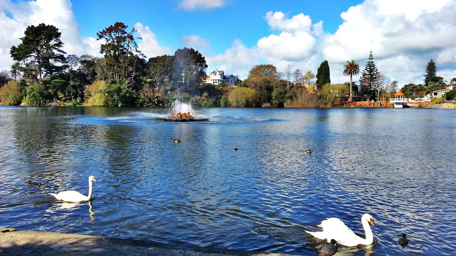 Waterfowl Wonderland