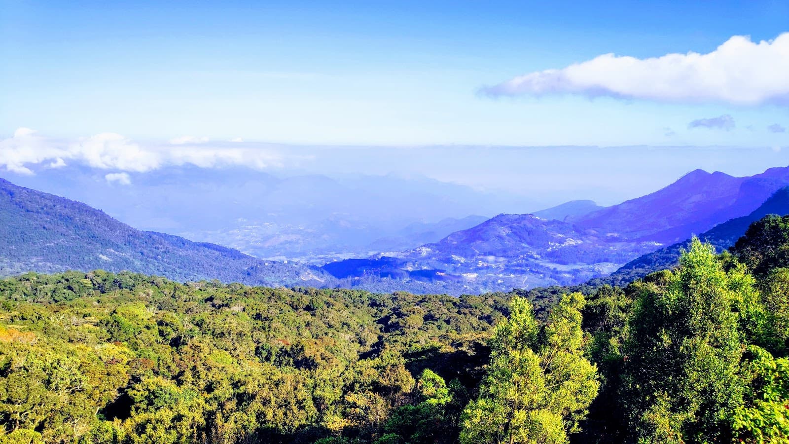 Anamudi Shola National Park - Image 1