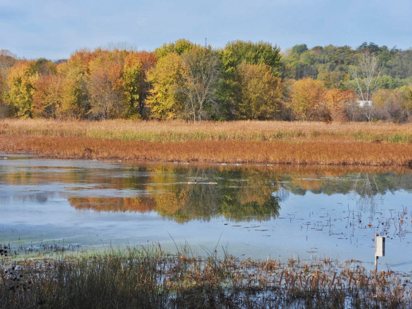 Nahant Marsh Education Center - Image 1