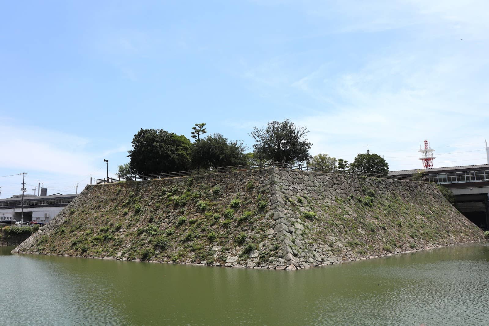 Yassa Odori Tradition