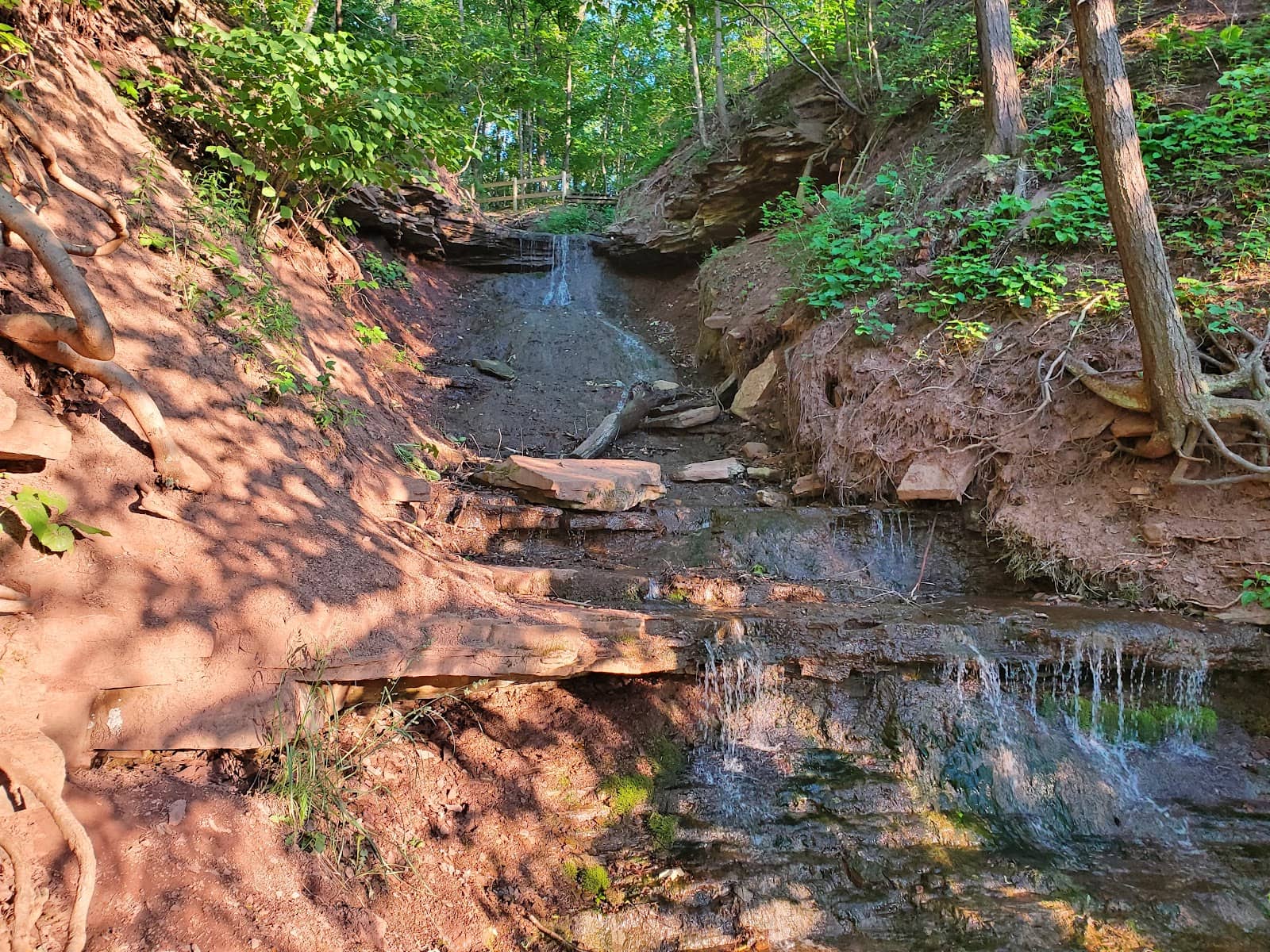 Olmsted-Designed Landscape