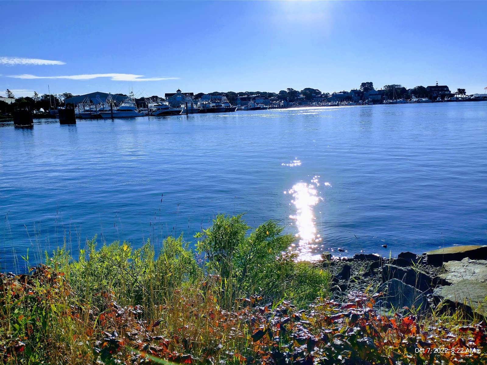 Hyannis Harbor