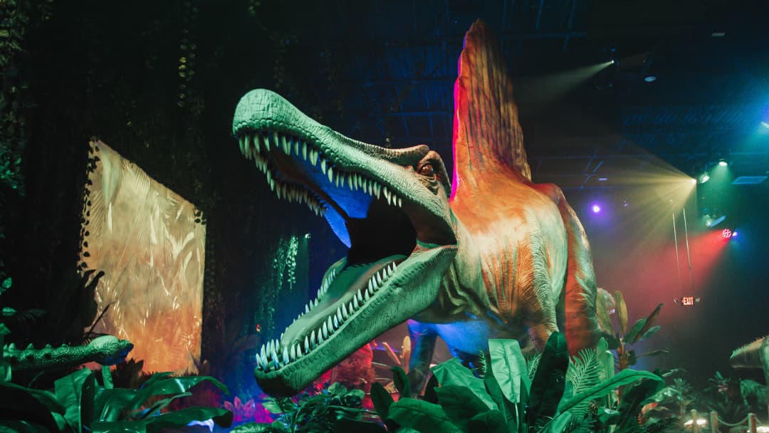 Dino Alive Milan - Image 1