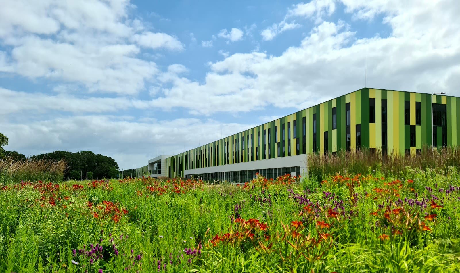 Brainport Industries Campus - Image 1