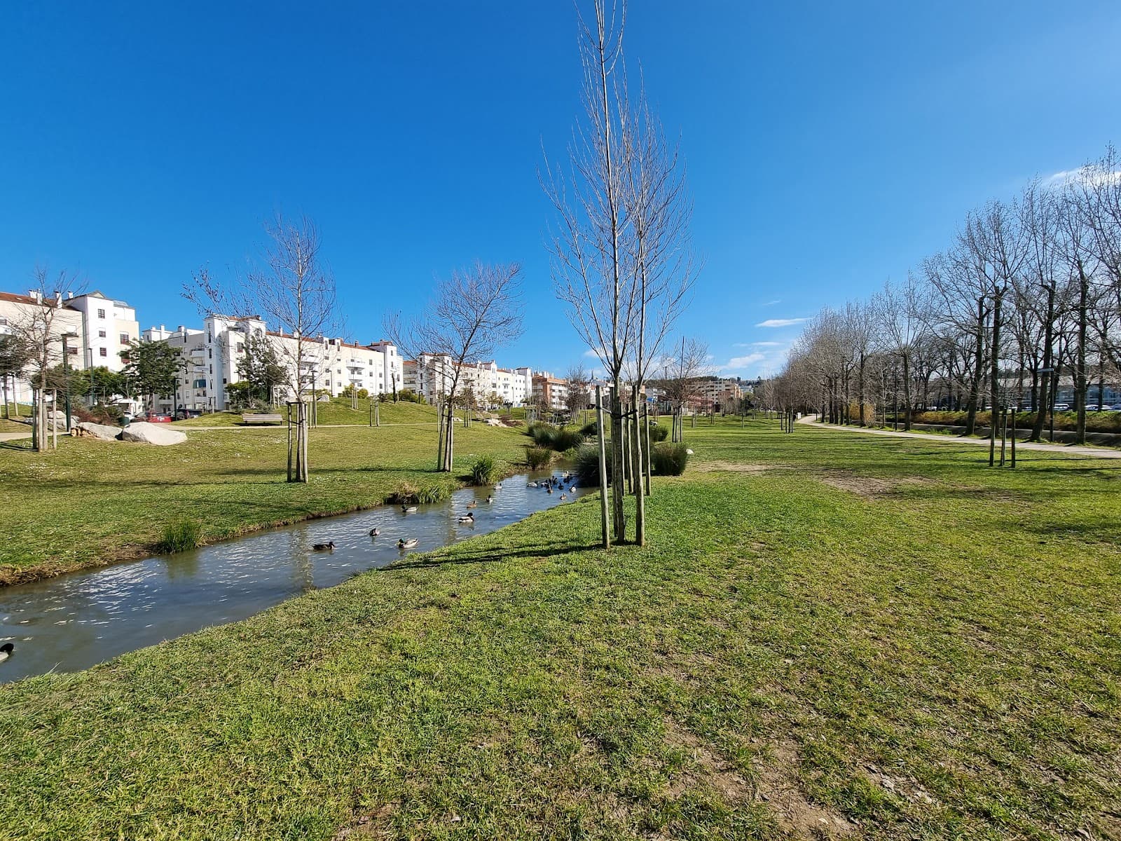Parque da Almuinha Grande - Image 1