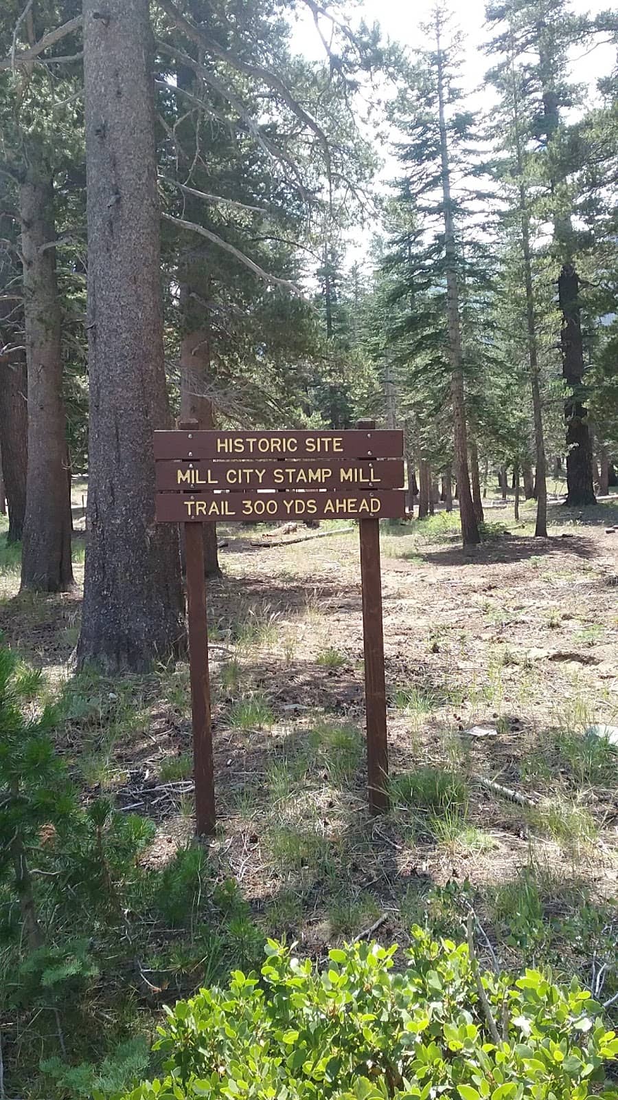 Mammoth Mountain Views