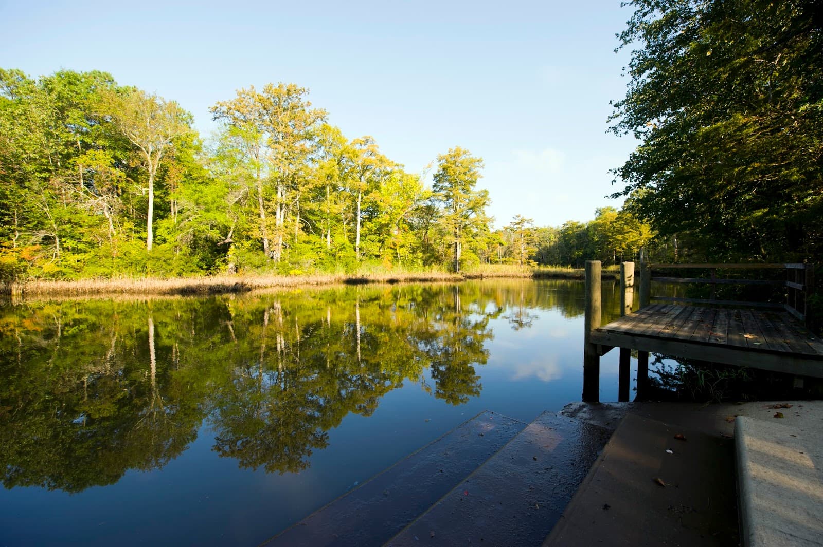 Powhatan Creek Park and Blueway - Image 1