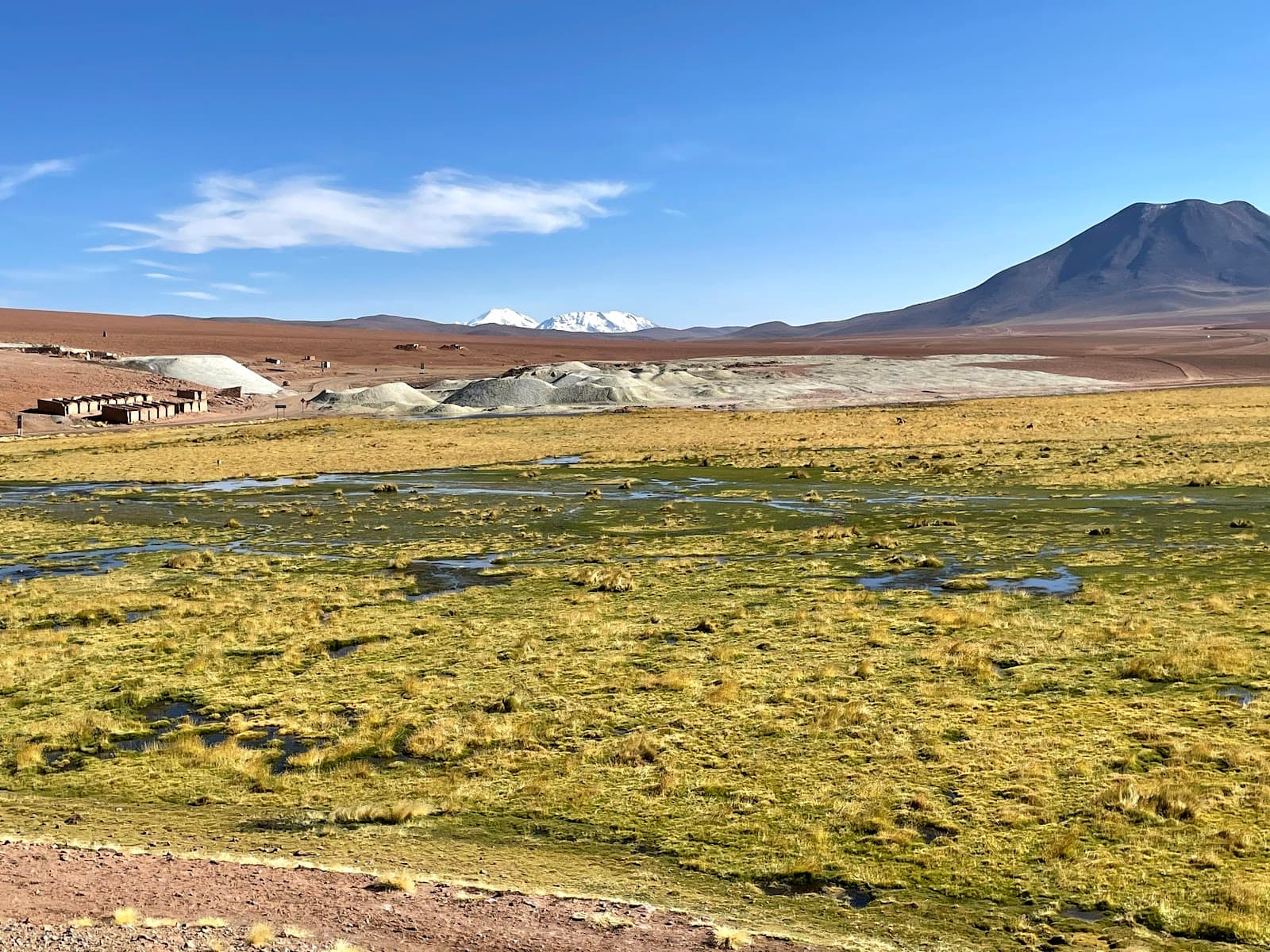 Putana River Wetlands - Image 1