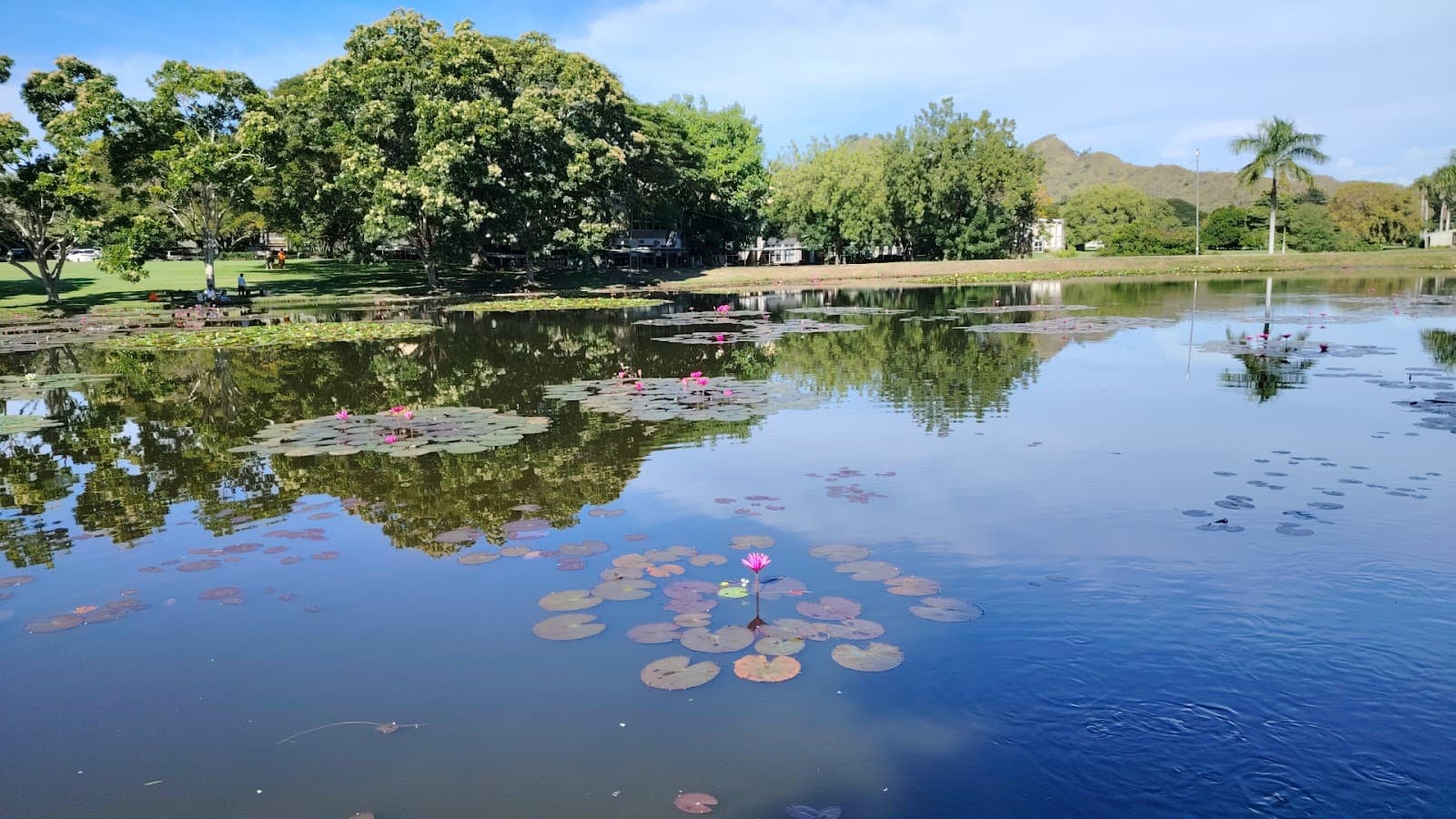 Pacific Adventist University Market & Lagoon - Image 1