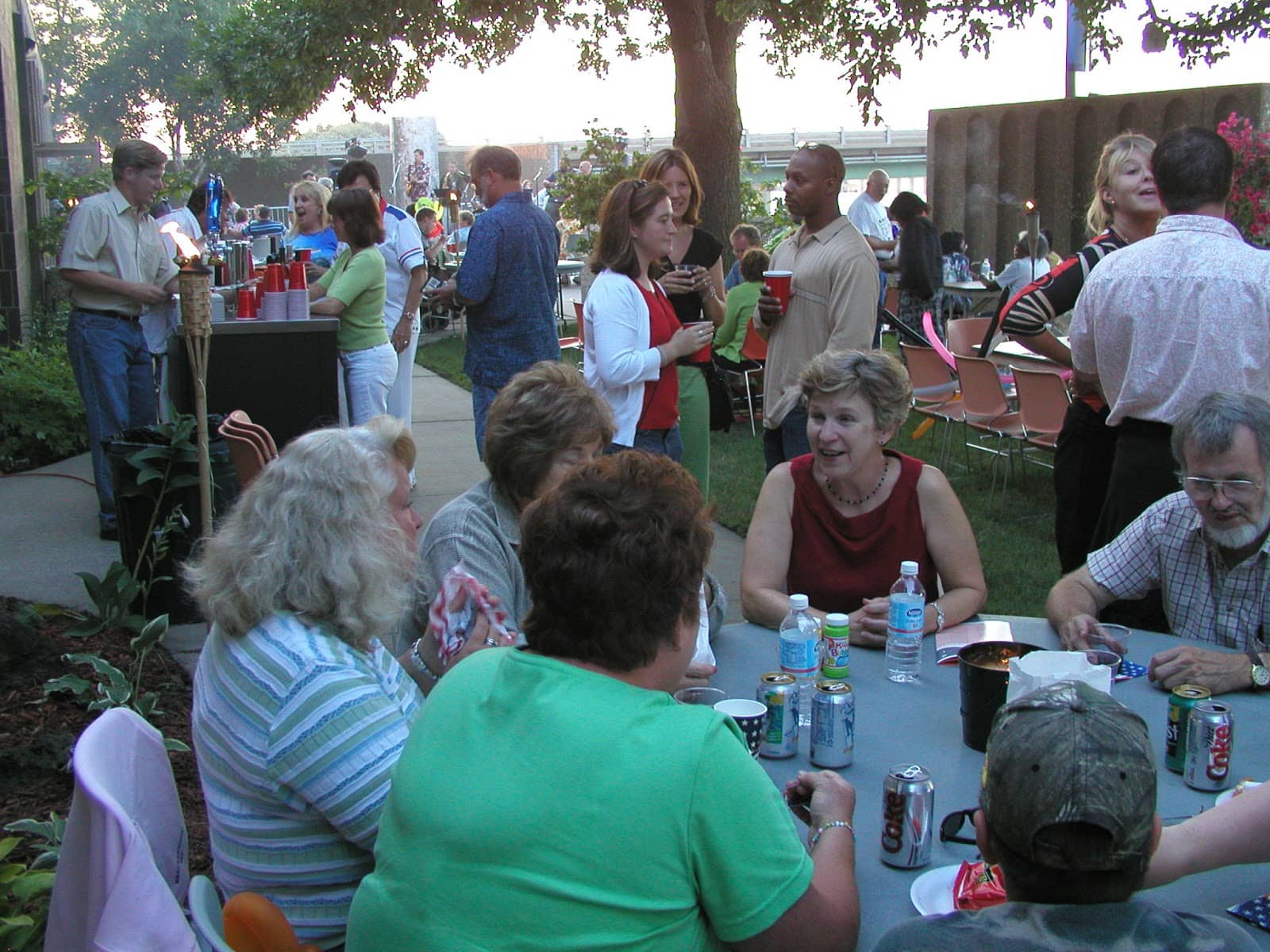 Live Theater Performances