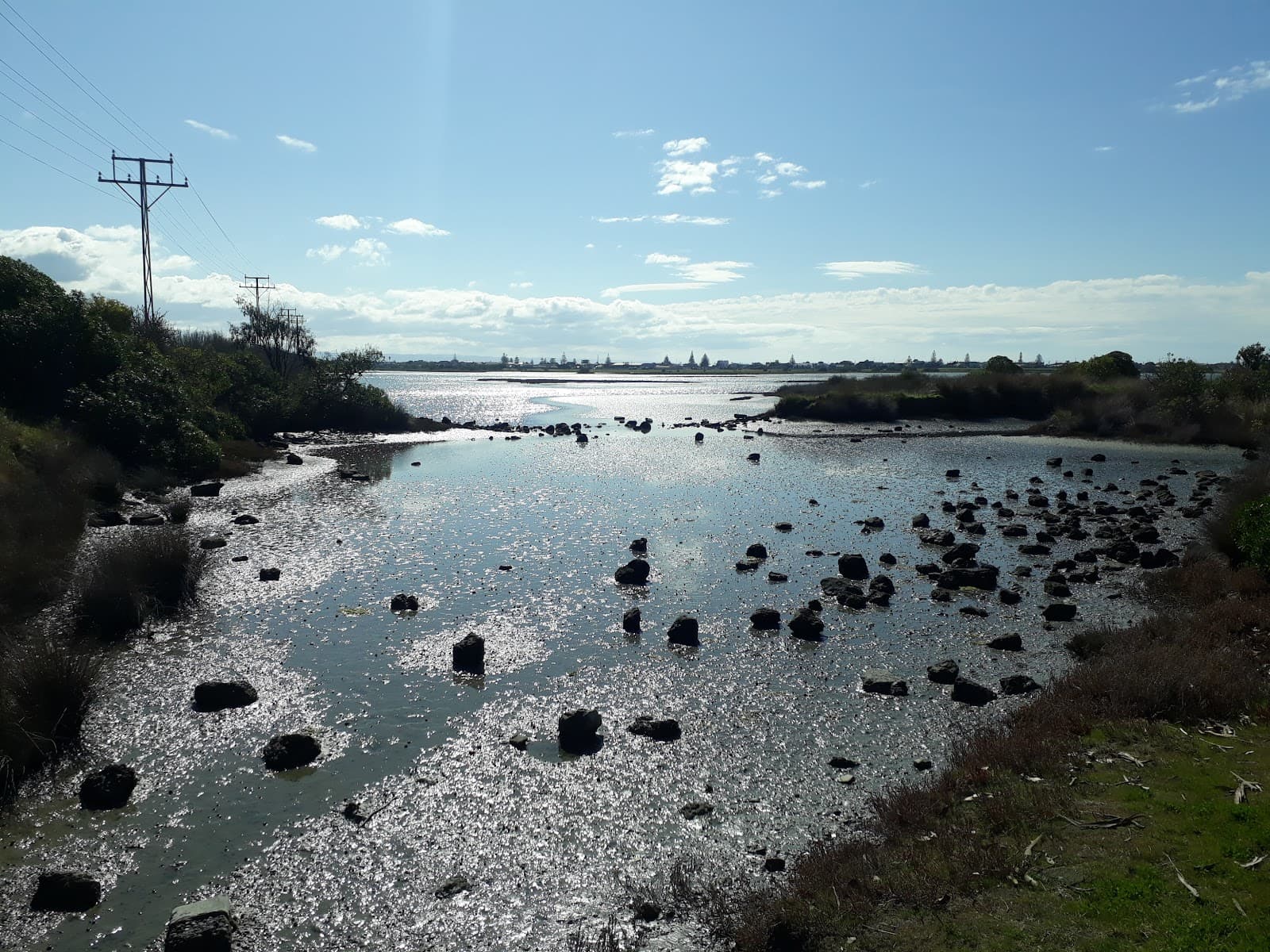 Ahuriri Estuary Walkway Napier - Image 1