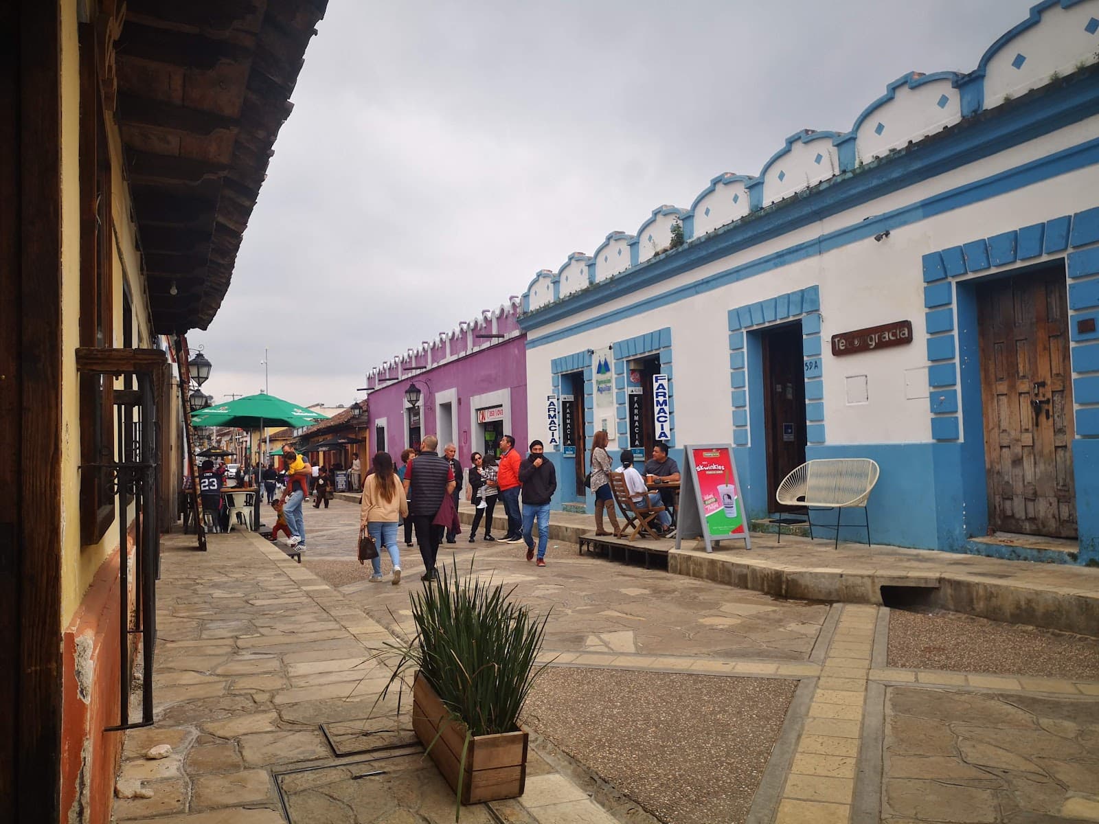 Real de Guadalupe - Image 1