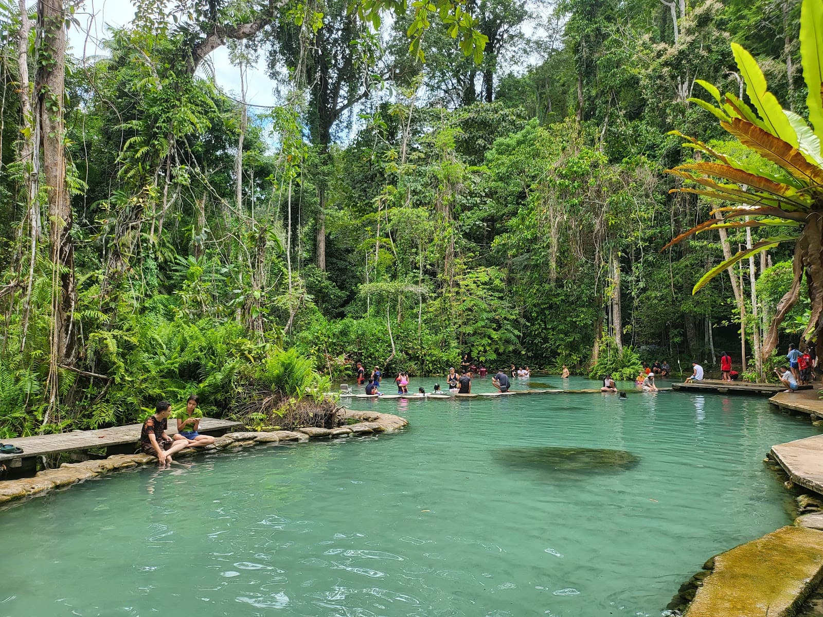 Ban Nam Rad Watershed Forest - Image 1