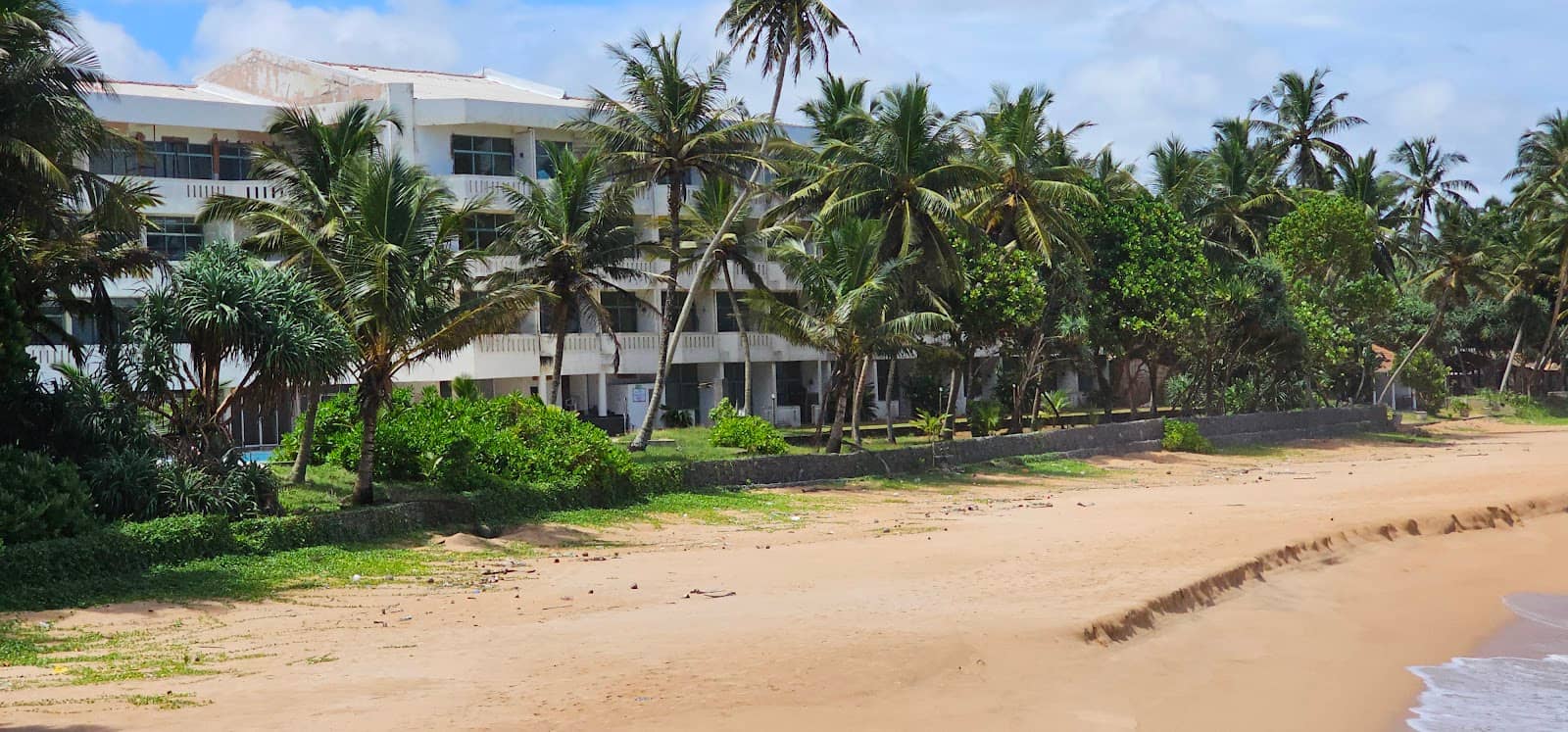 Turtle Hatching Encounters