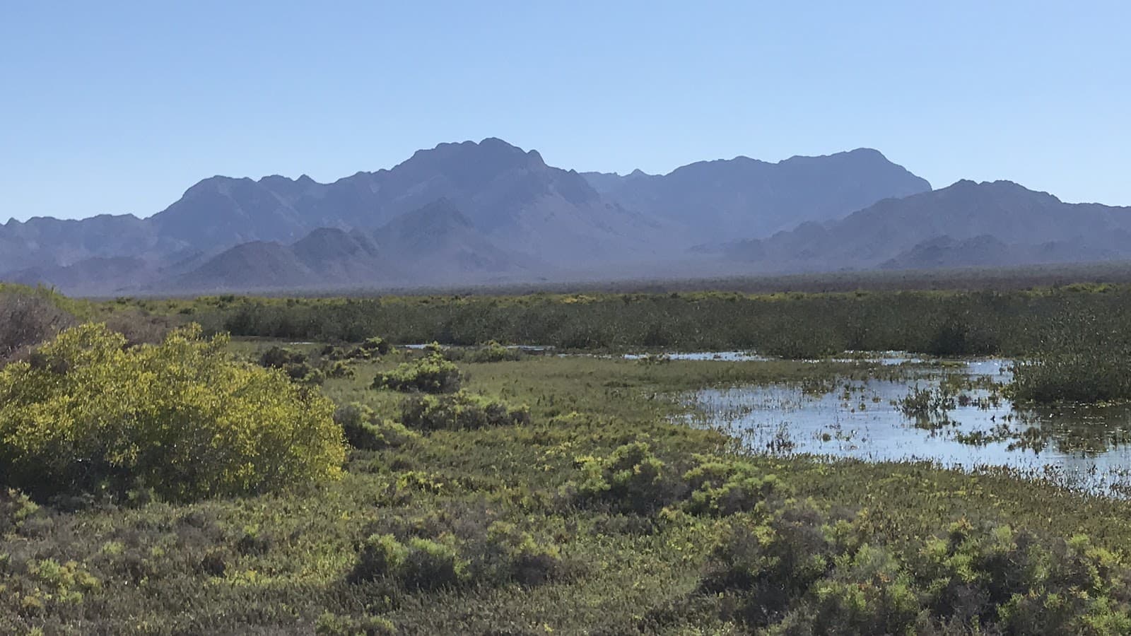 Isla Tiburón (tours) - Image 1
