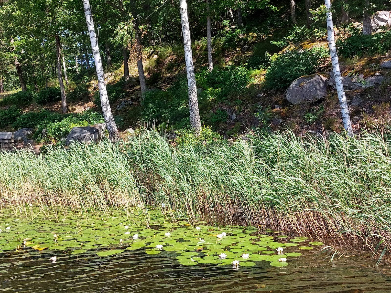 Summer Swimming Spots