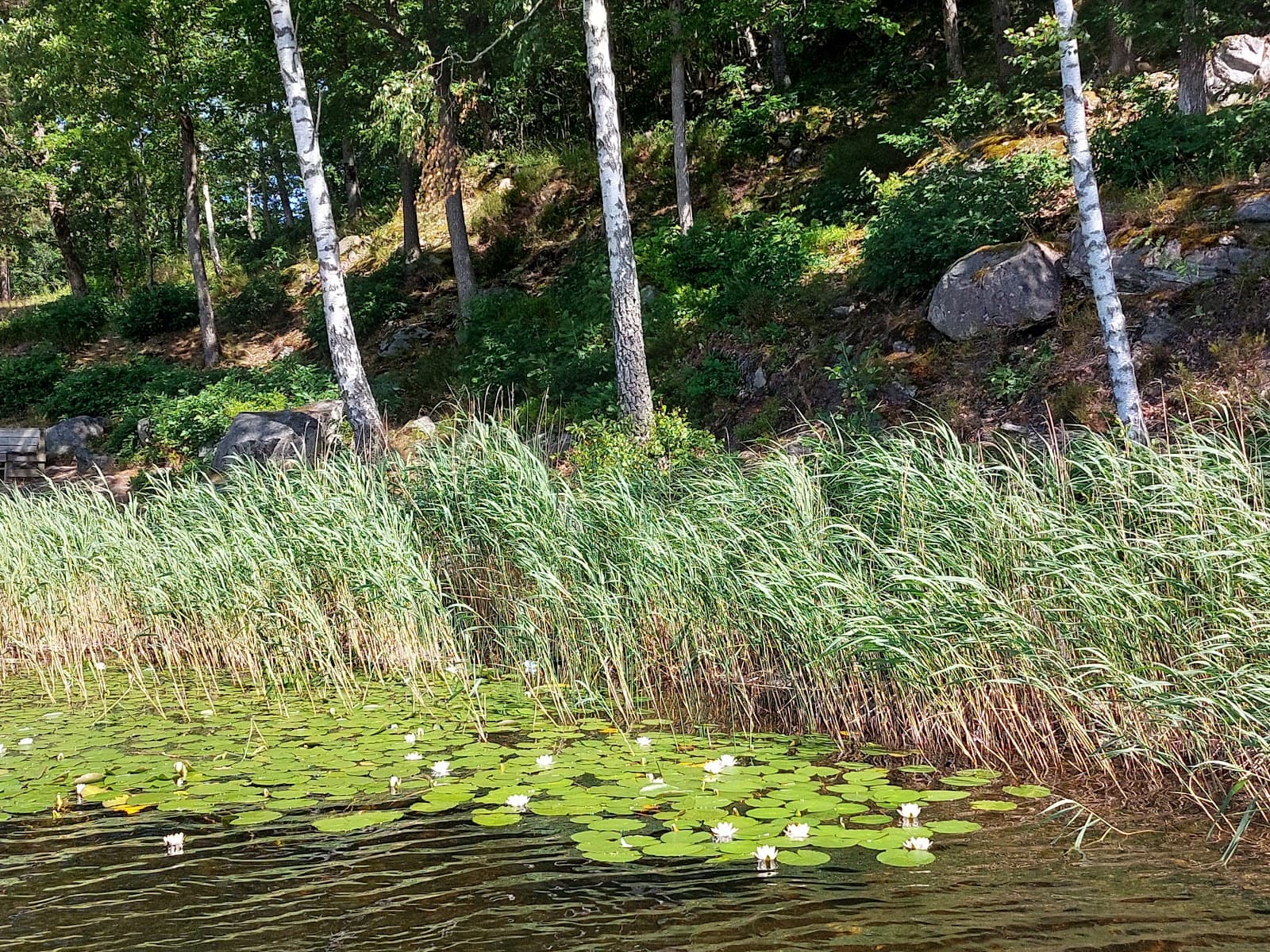 Gillsvannet - Image 1