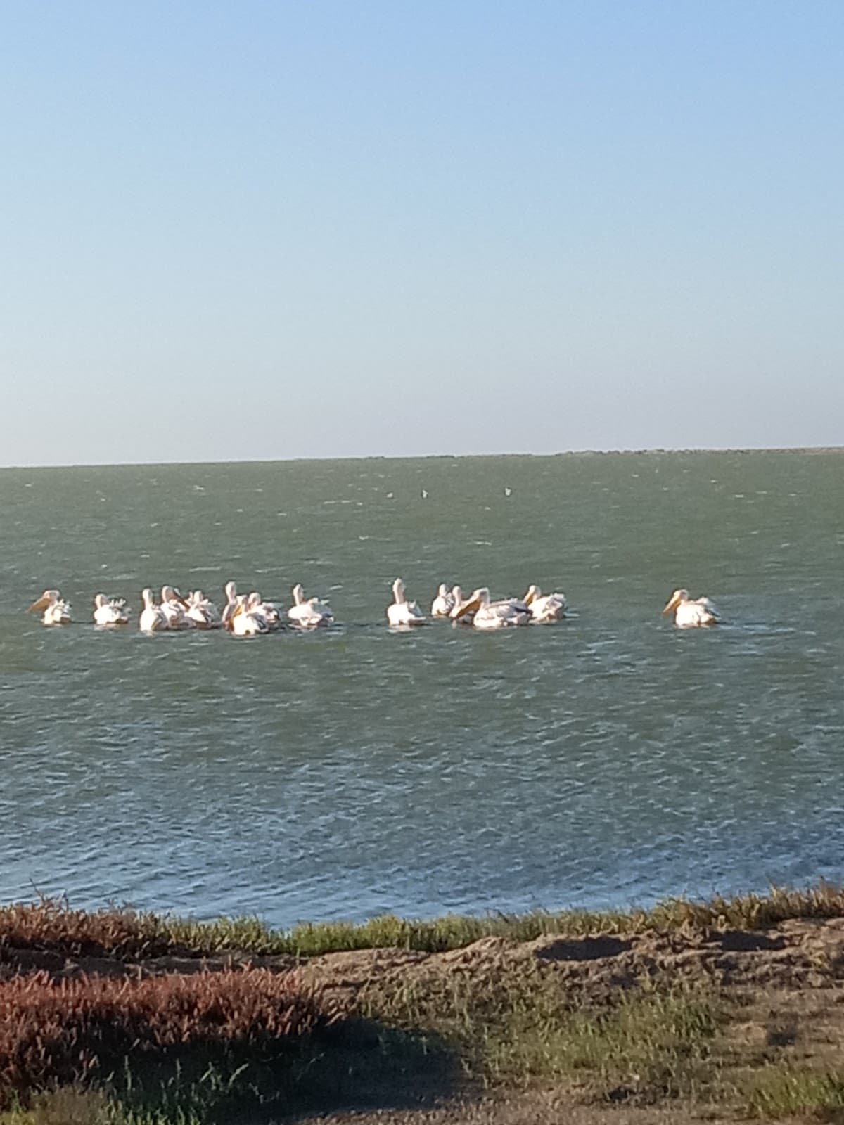 Walvis Bay Salt Flats Namibia - Image 1