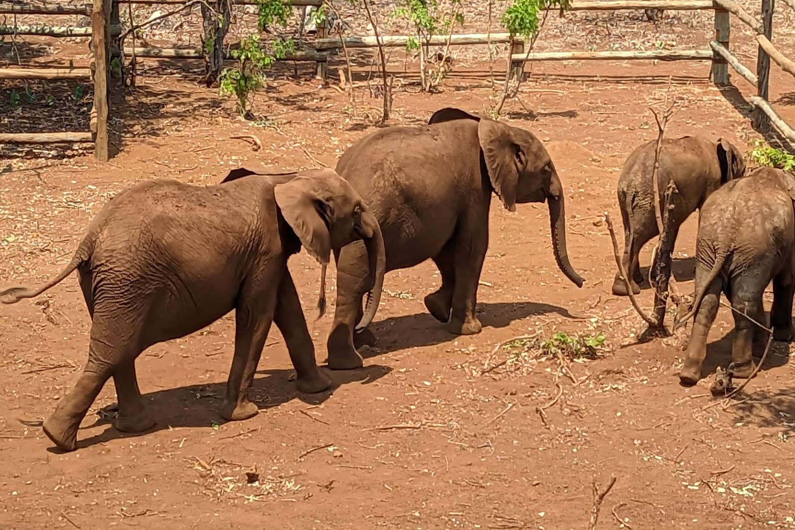 Lusaka Collective Gift Shop