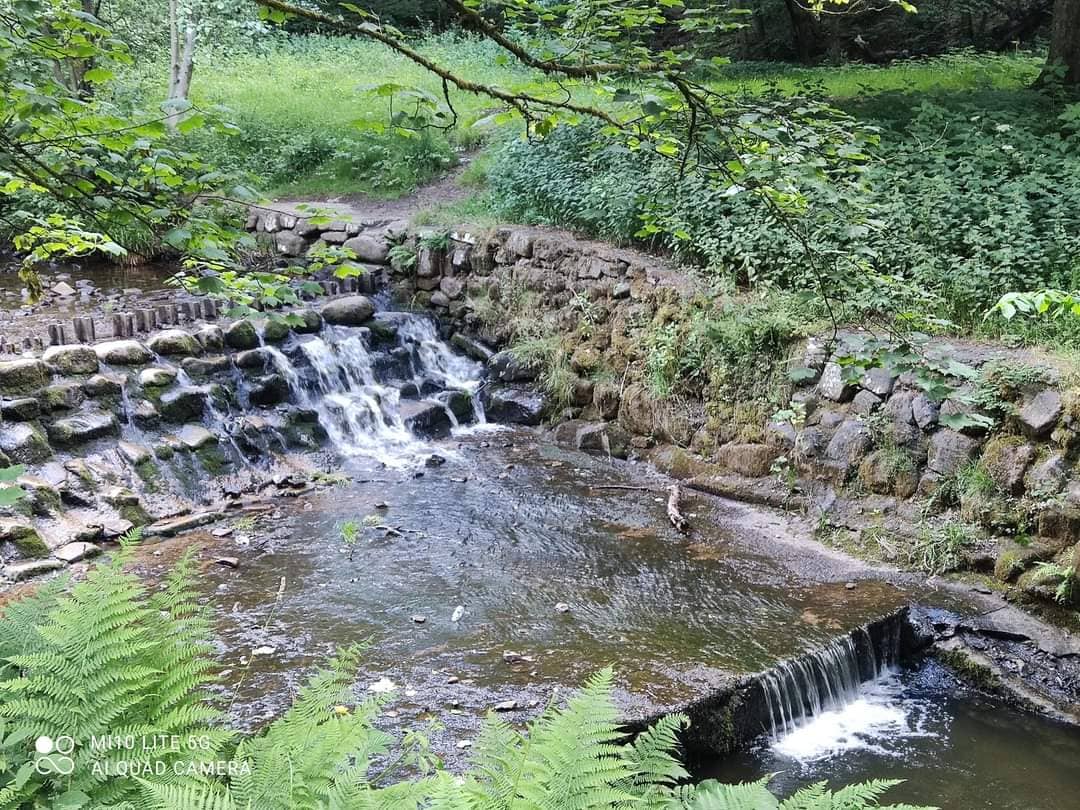 Bolton Museum, Aquarium & Library