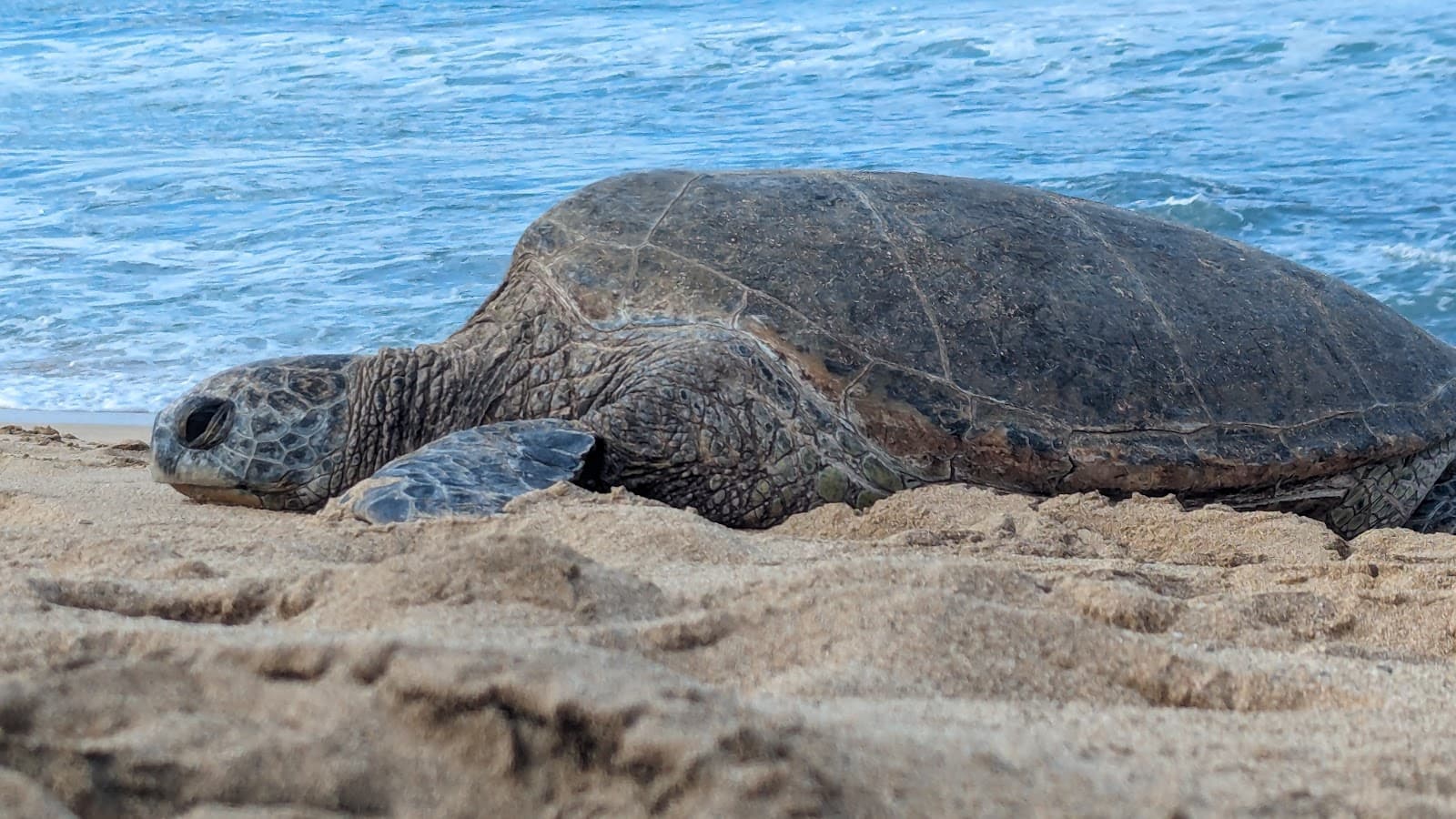 Sugar Cove Beach - Image 1