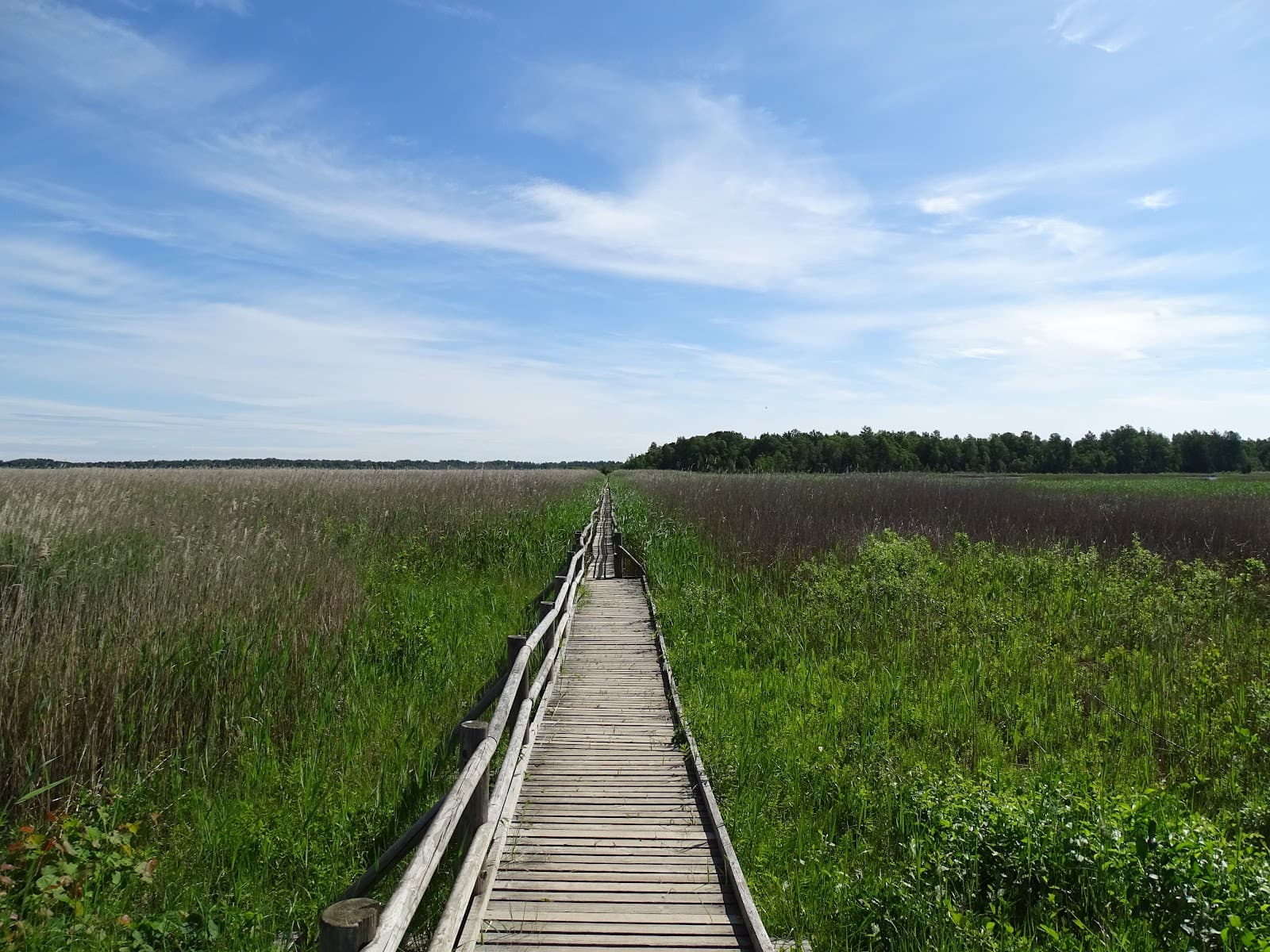 Lake Kaņieris Nature Trail - Image 1