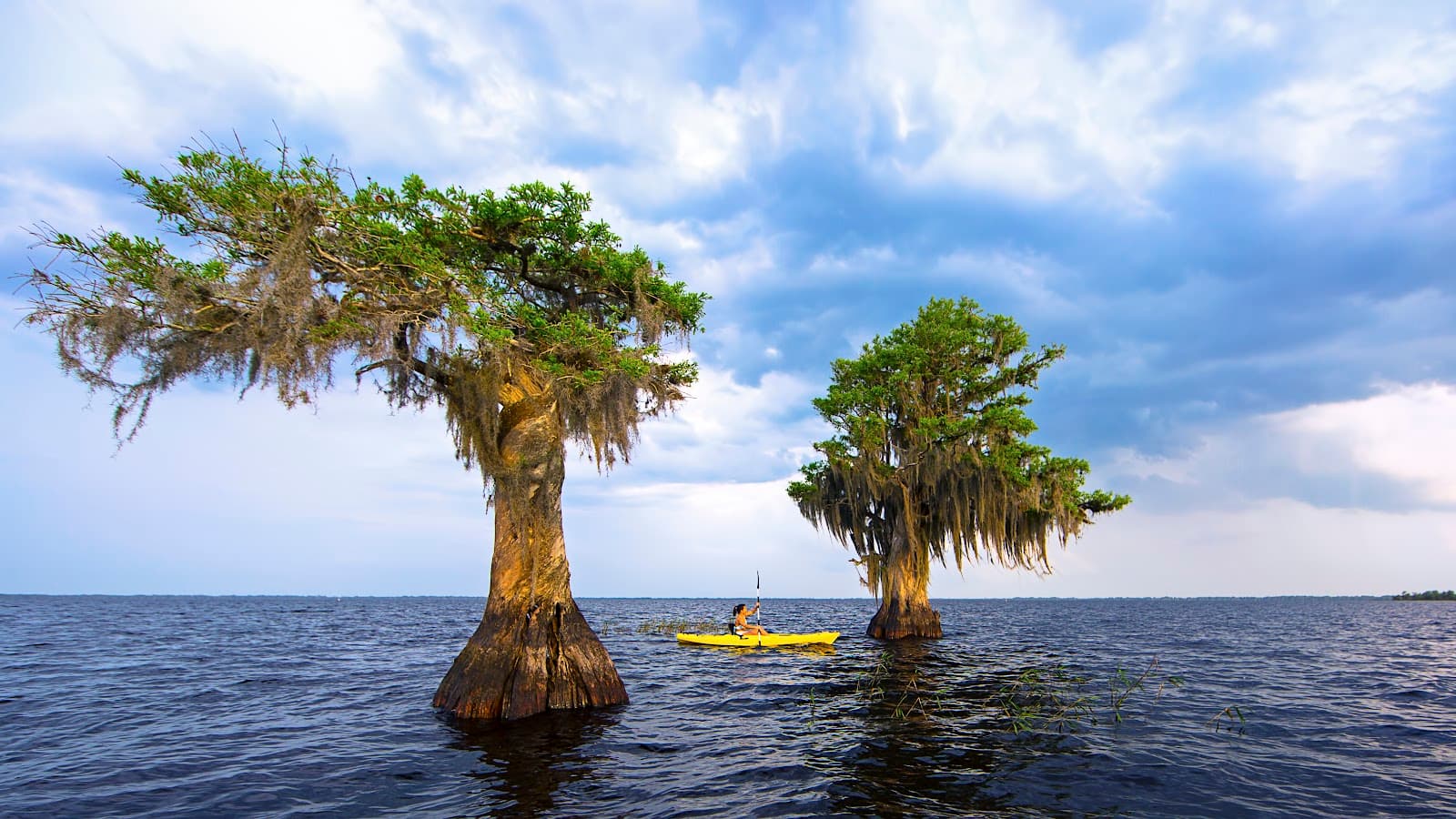 Blue Cypress Lake - Image 1