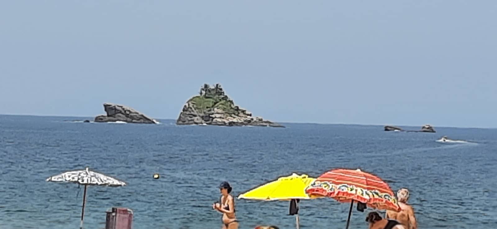 Serene Natural Surroundings