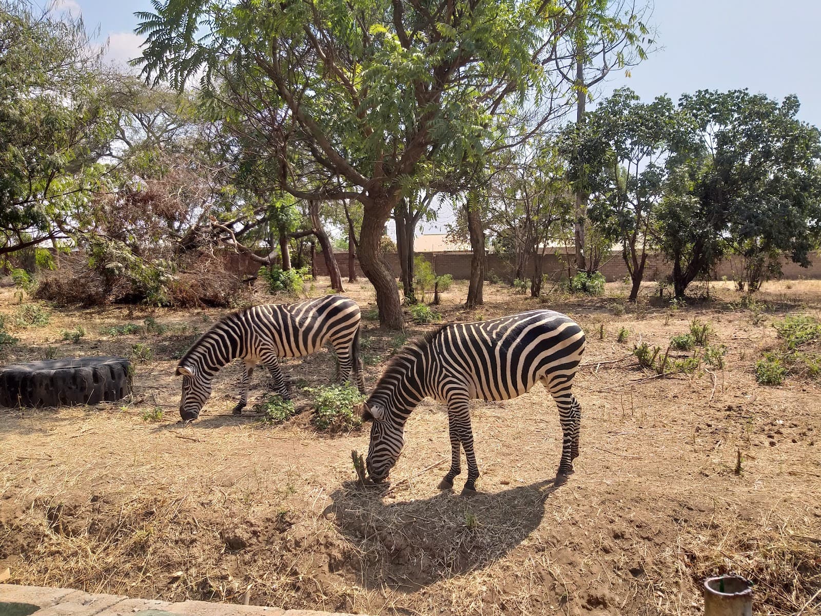 Munda Wanga Environmental Park - Image 1