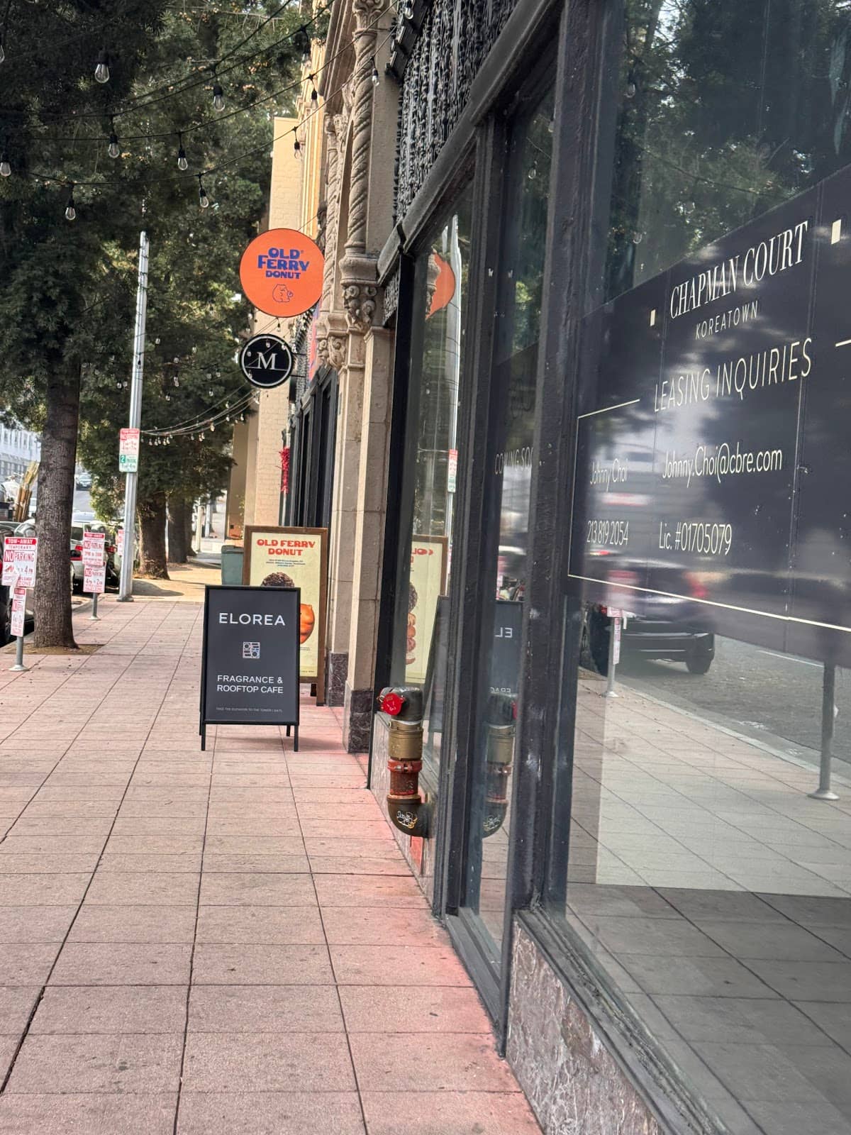 Rooftop Ambiance and Views