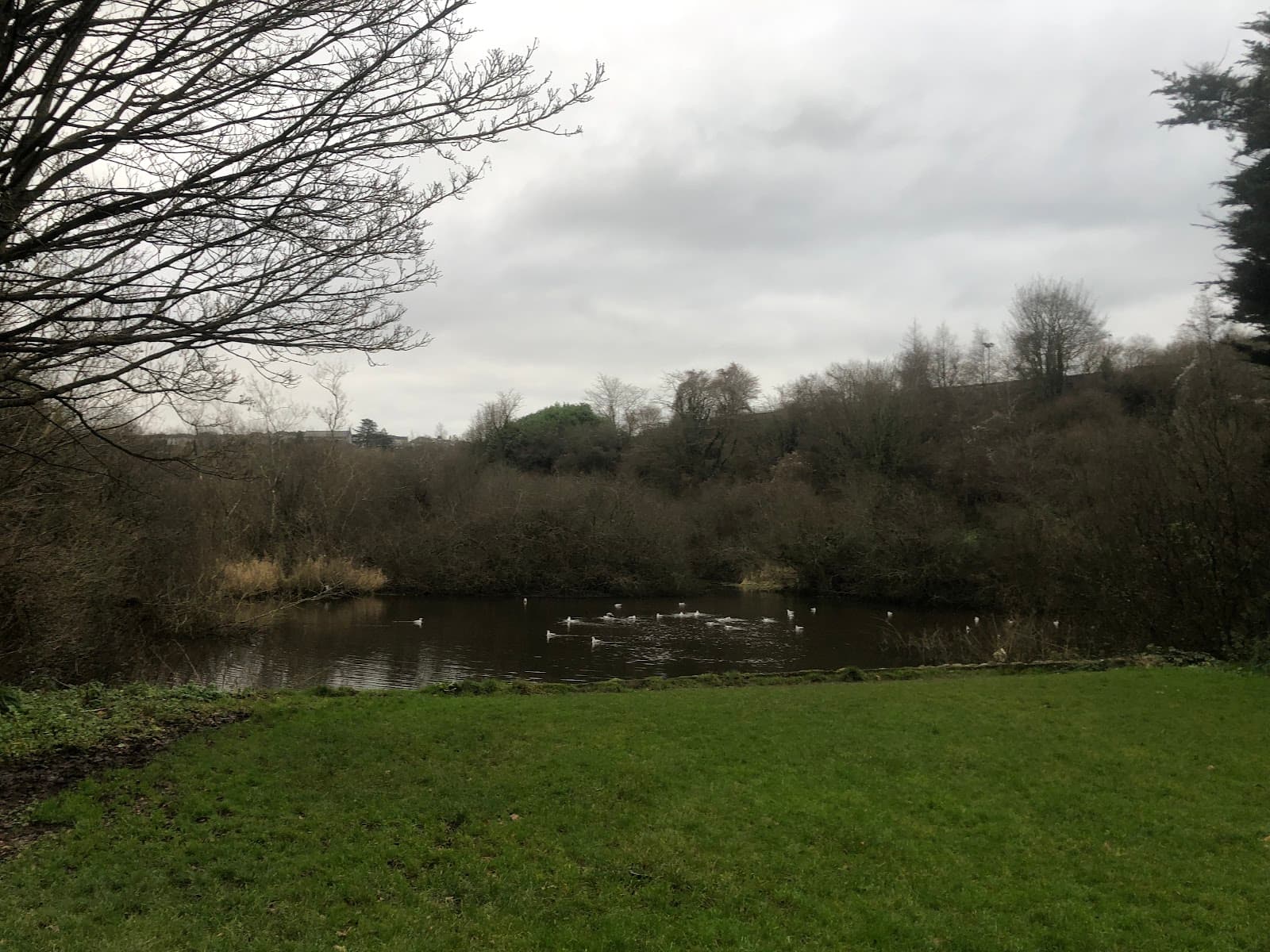 Glen River Park - Image 1