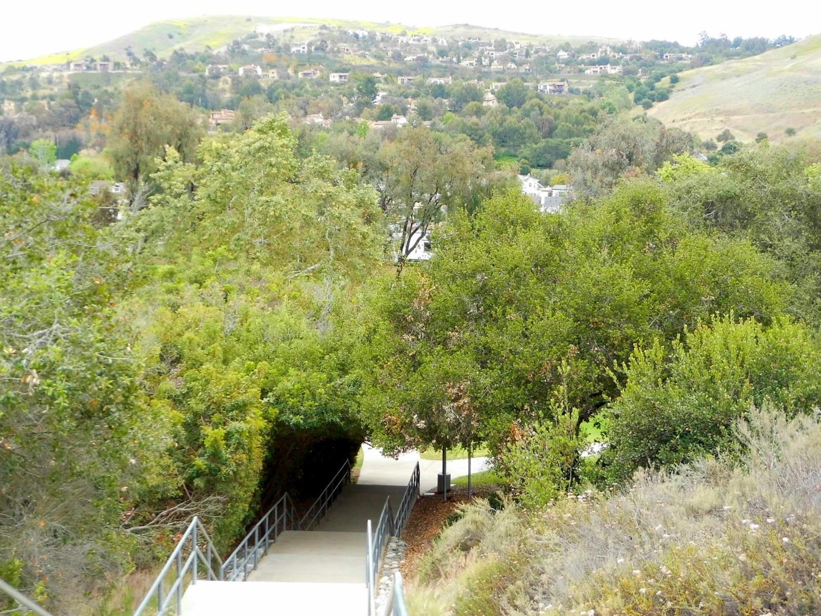 Turtle Rock Trail - Image 1