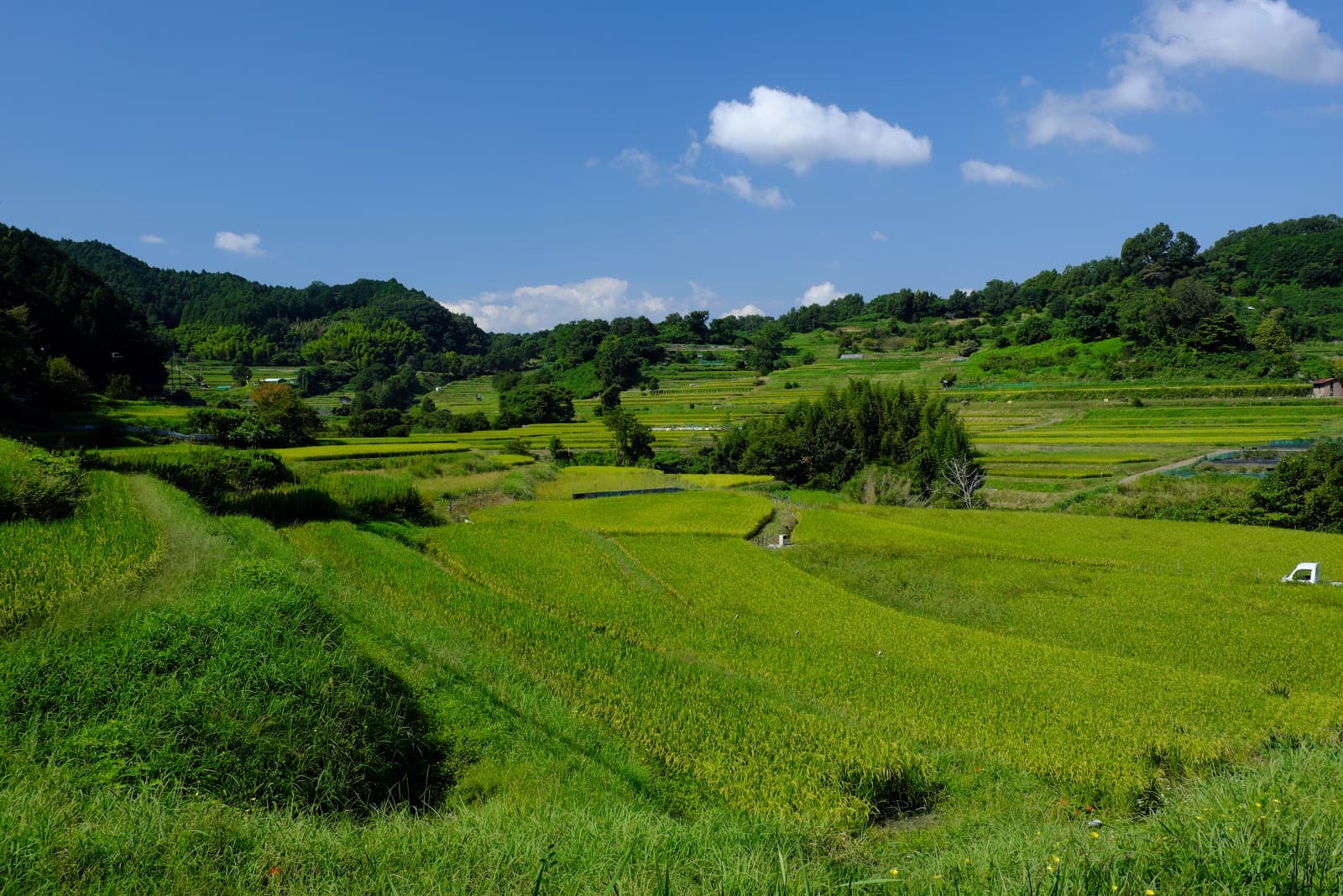 Inabuchi Tanada - Image 1