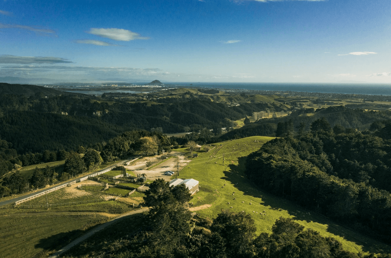 Scenic Walking Tracks