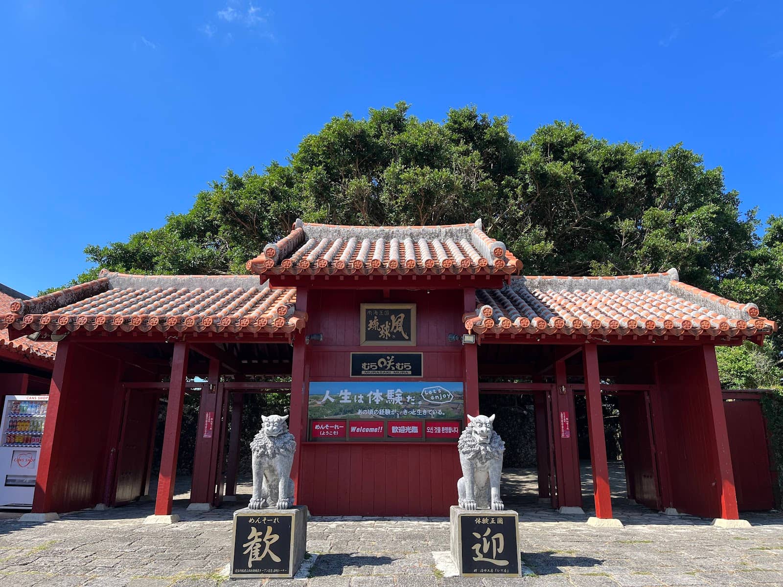 Horse Riding Experience