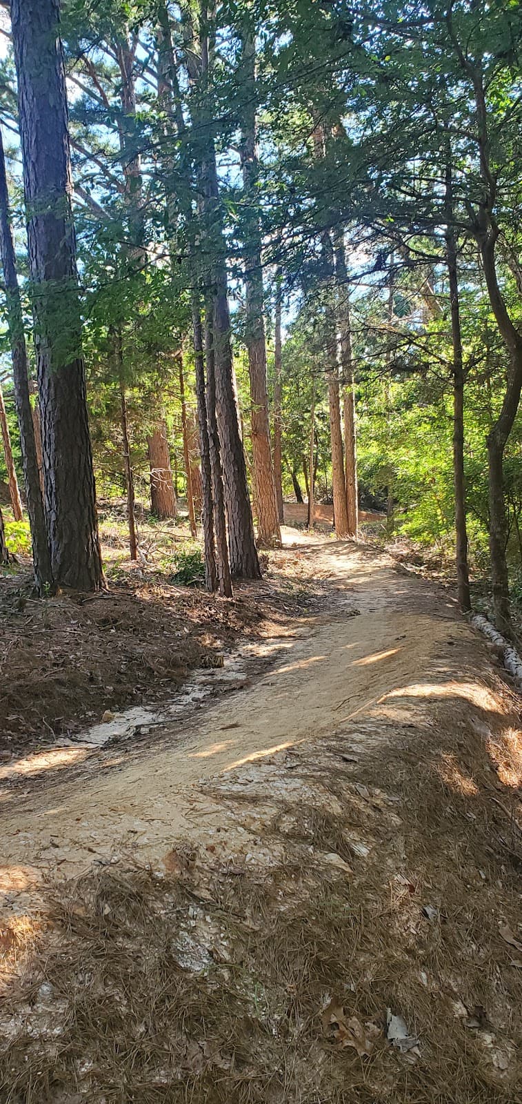 Lindsey Park - Image 1