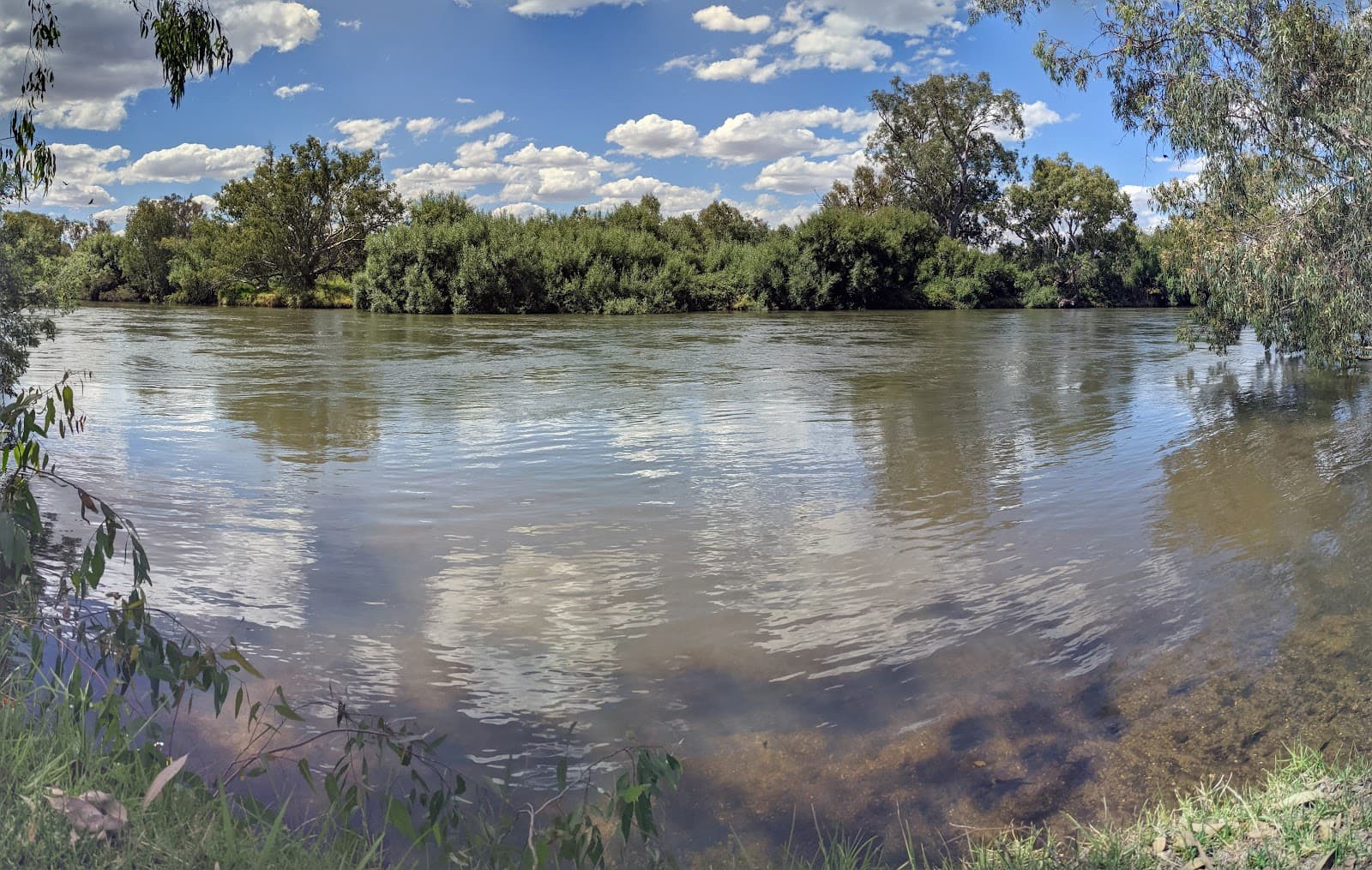 Mungabareena Reserve - Image 1