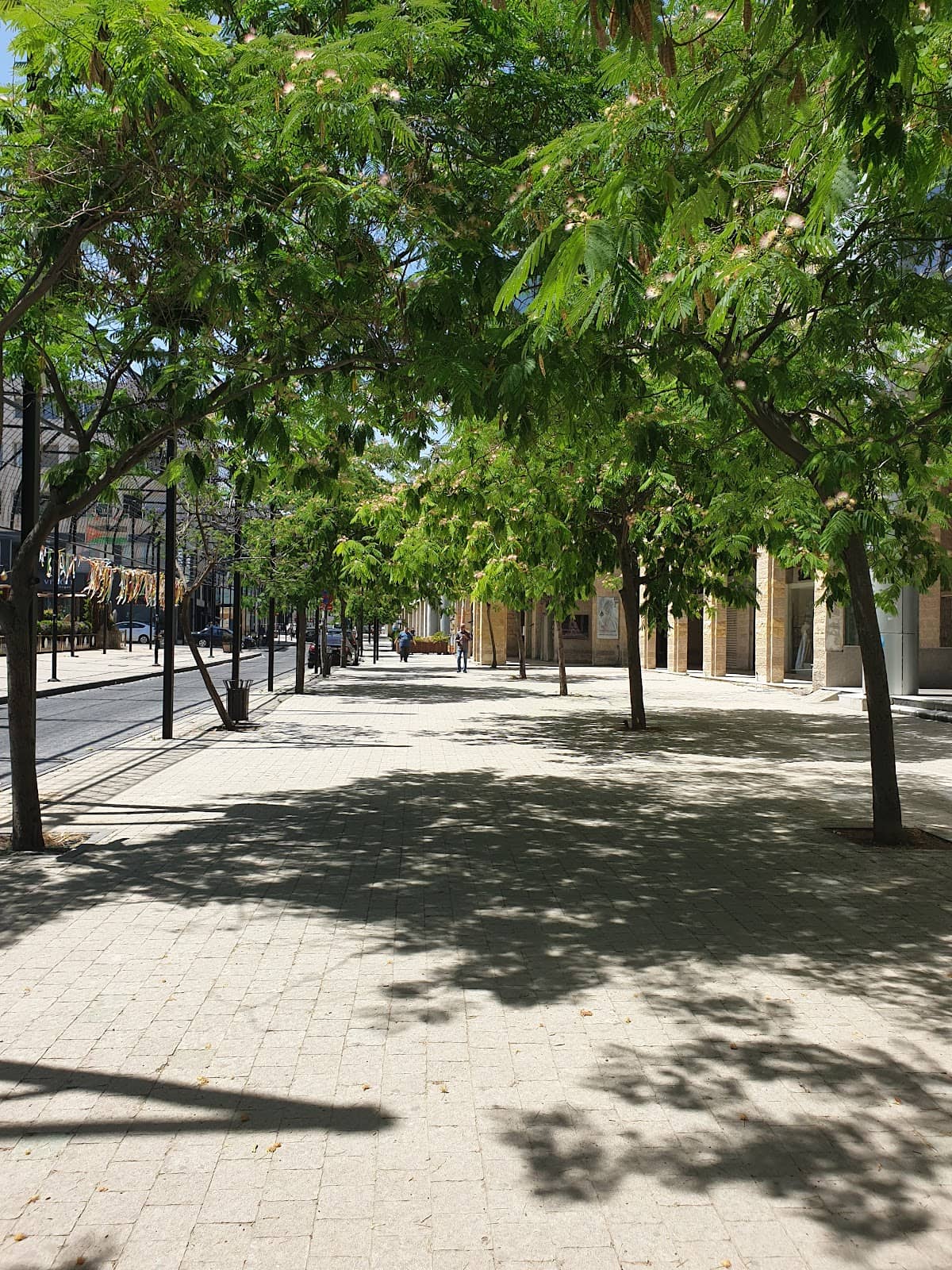 Trendy Restaurants & Cafes