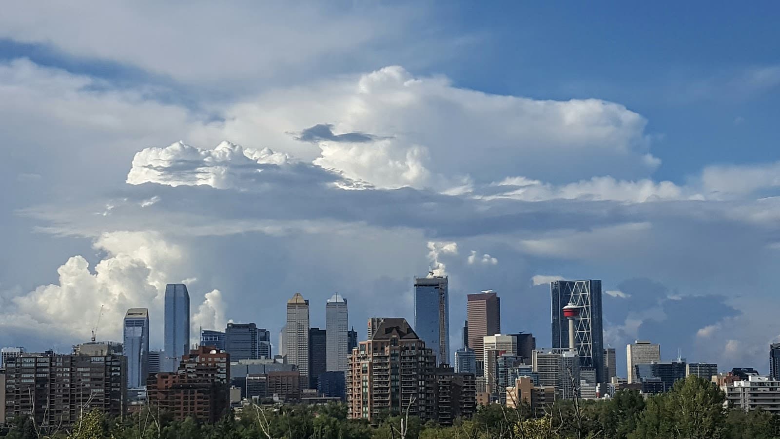 Stanley Park Calgary - Image 1