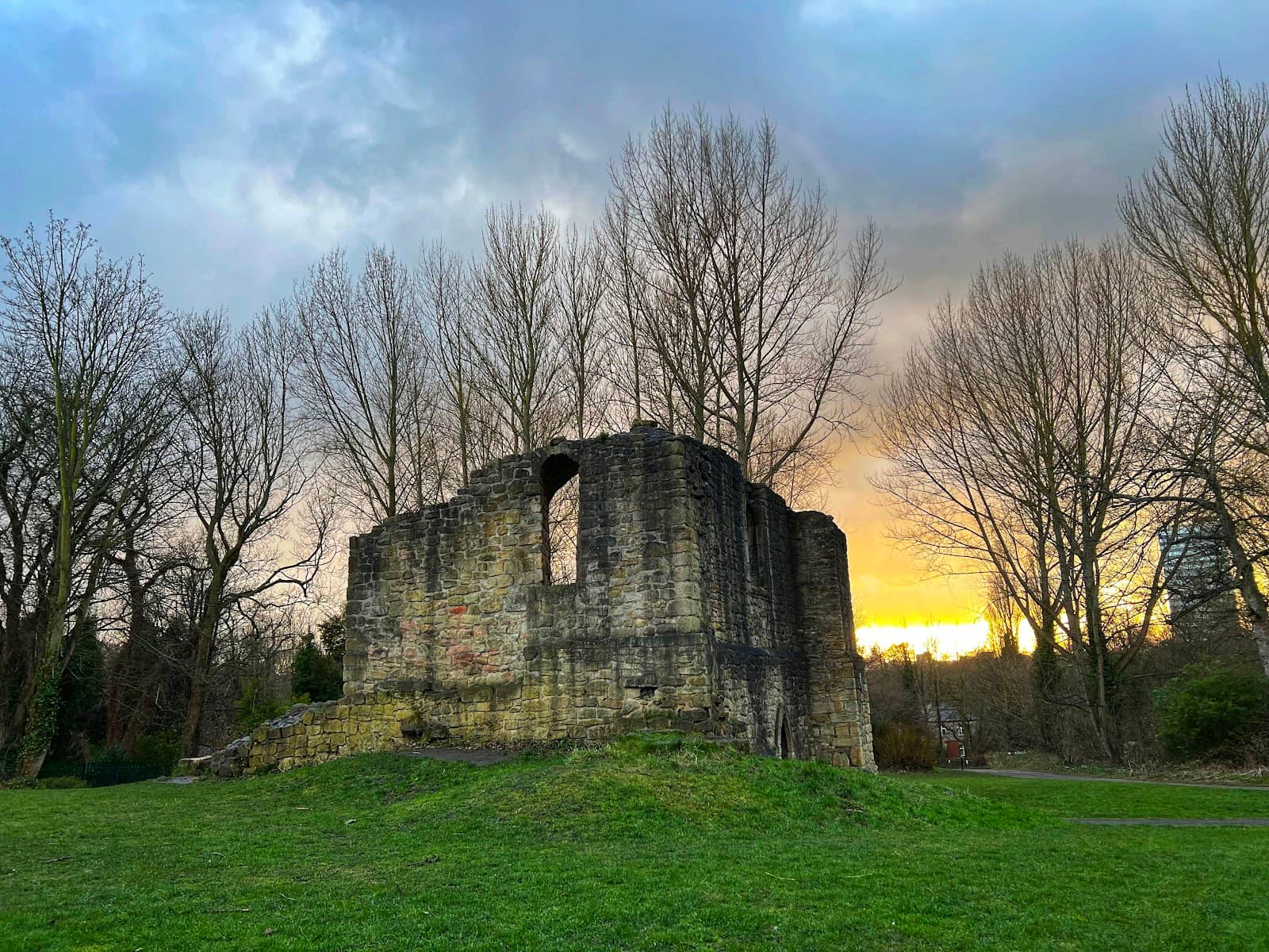 Zip World Treetops Adventure