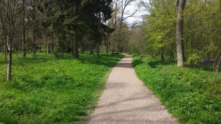 Linford Wood - Image 1