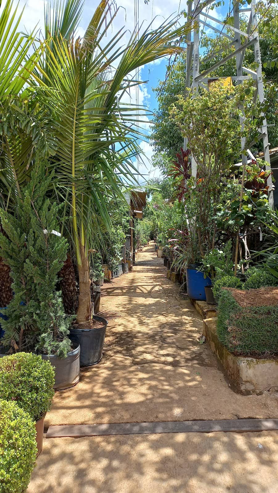 Local Community Events