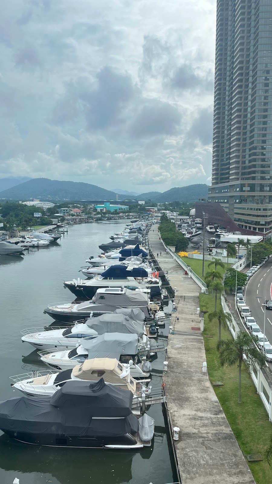 Marina Tedesco - Image 1