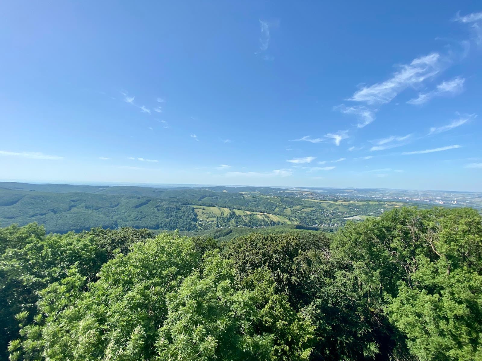 Habsburgwarte Hermannskogel - Image 1