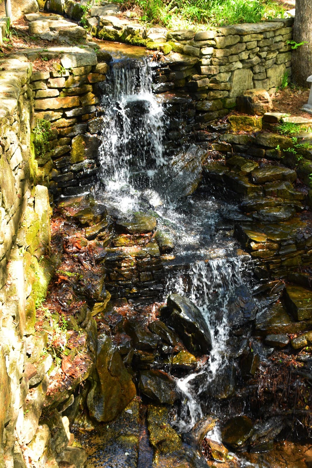 Davis Arboretum Auburn University - Image 1