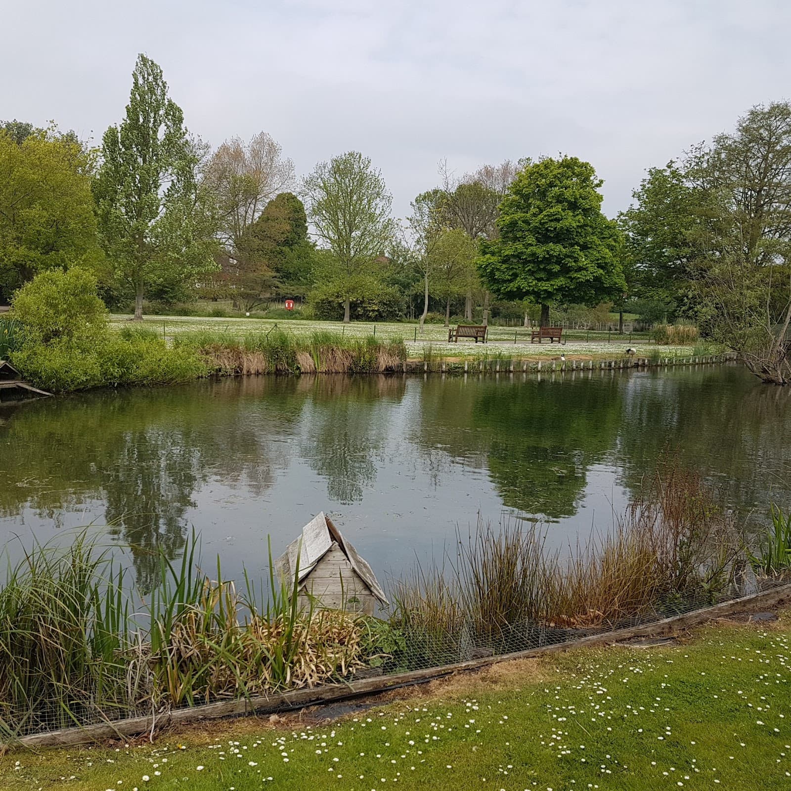 Waddon Ponds - Image 1