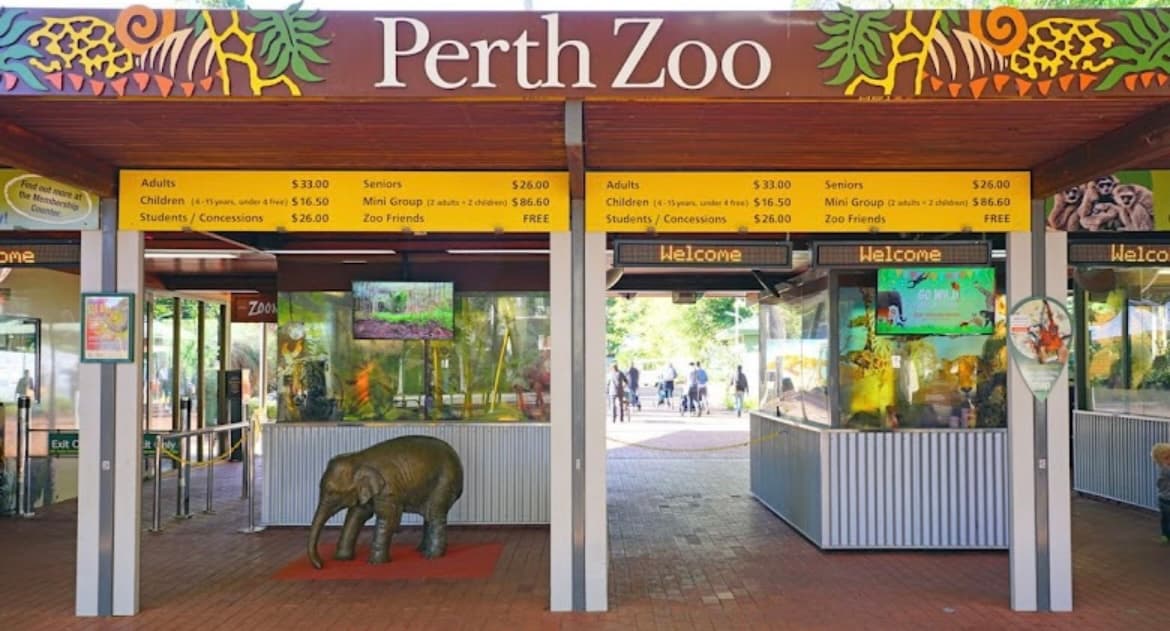 Perth Zoo - Image 1