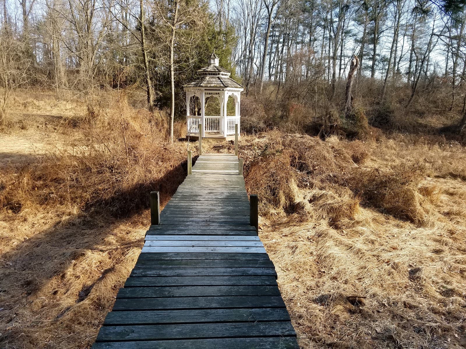 Green Hills Preserve - Image 1