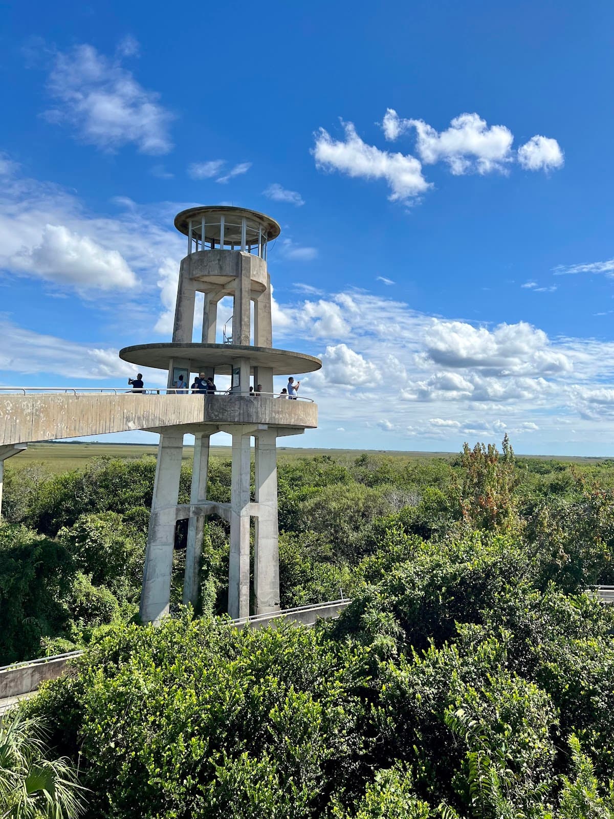 Shark Valley Observation Tower - Image 1